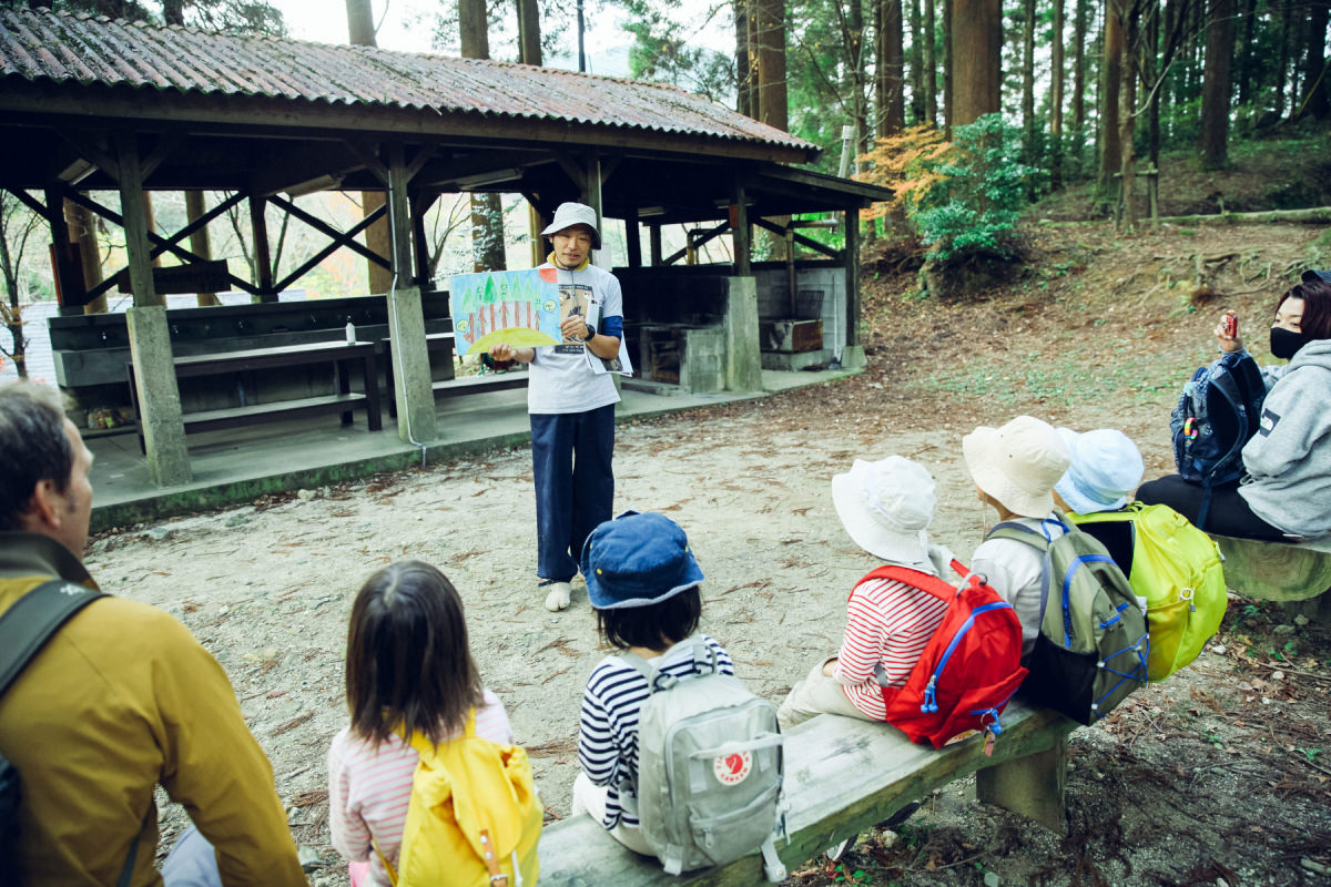山から木をいただく
