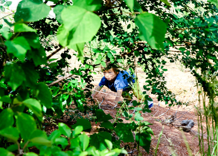 自然や芸術や食事など、本物に出会う
