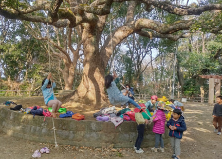 ごしょがだにのようす