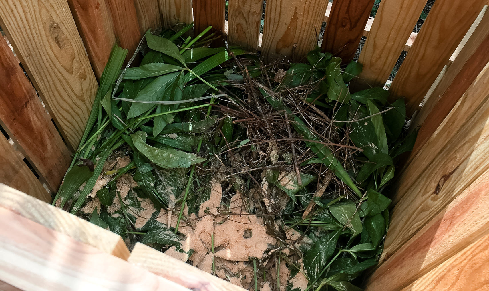 コンポスト設営